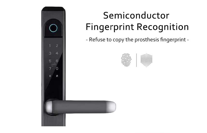 Wifi Electronic Door Lock With Tuya App Control Remotely S876 Fingerprint Glass Door Lock