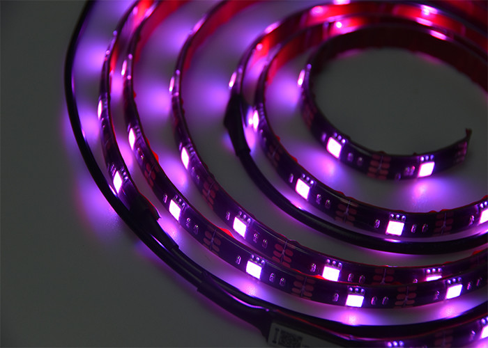 5M IP65 5050 RGB LED Strip Light