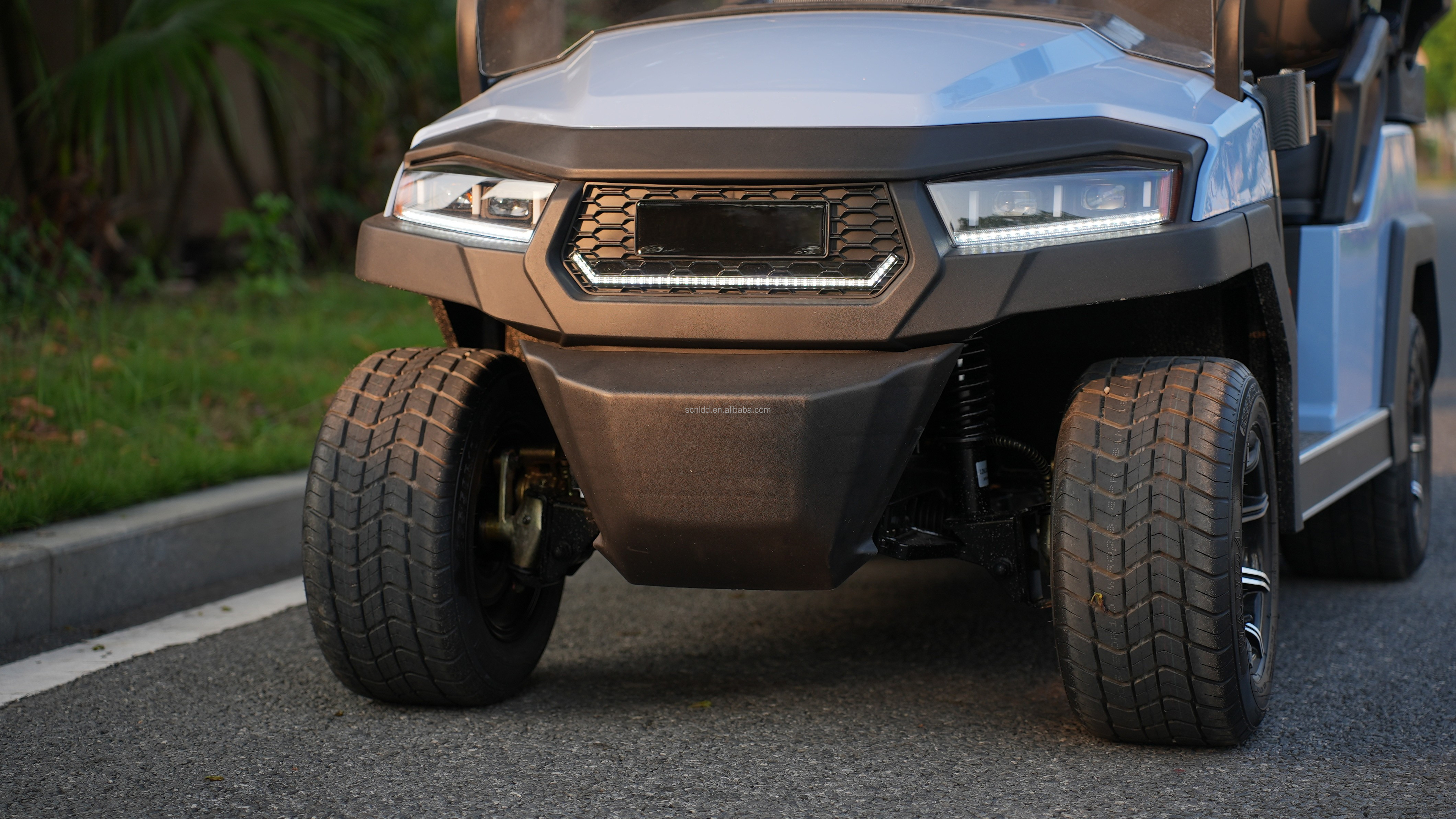 Affordable 2 Seat Electric Golf Buggy Perfect for Family and Hunting on the Beach