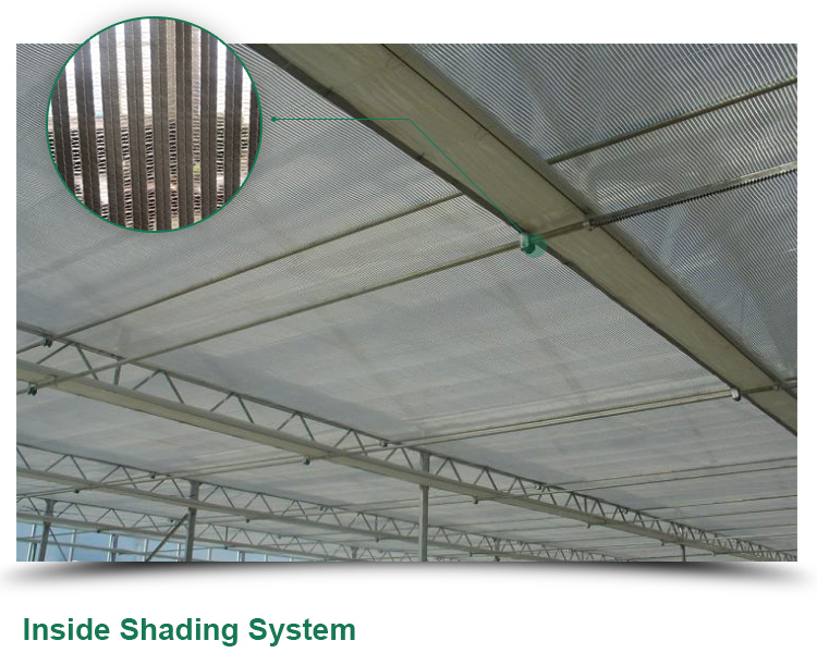 Glass for Outdoors Greenhouses Large Size and Hydroponic Nursery Sponge Advantage