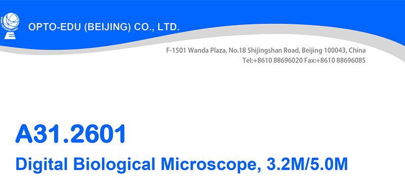 WF10X/20mm Seidentopf Binocular Digital Microscope A31.2601 With Mechanical Stage