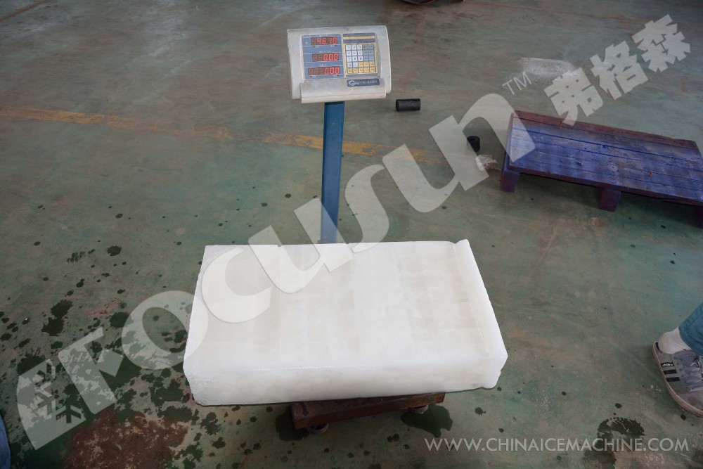 Fast Cooling Direct System Block Ice Machine 10 Ton Daily Capacity with Bitzer Compressor
