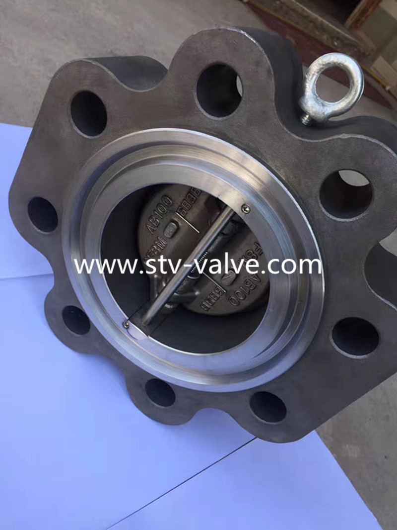 Dual Plate Lug Type Check Valve,600LB,4 Inch,WCB Body,316 Trim,Lug Type End