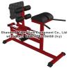 Buy cheap Gym Fitness Equipment Glut Ham Raise from wholesalers