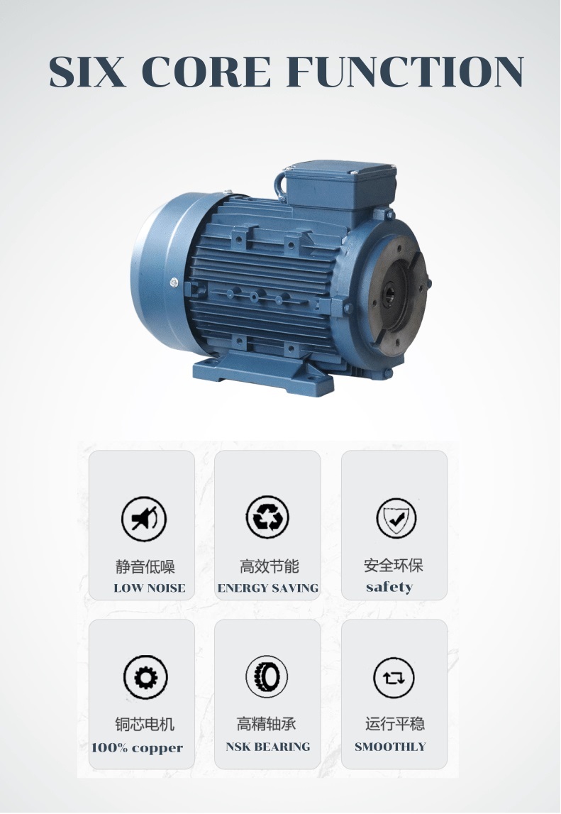 hydraulic motor