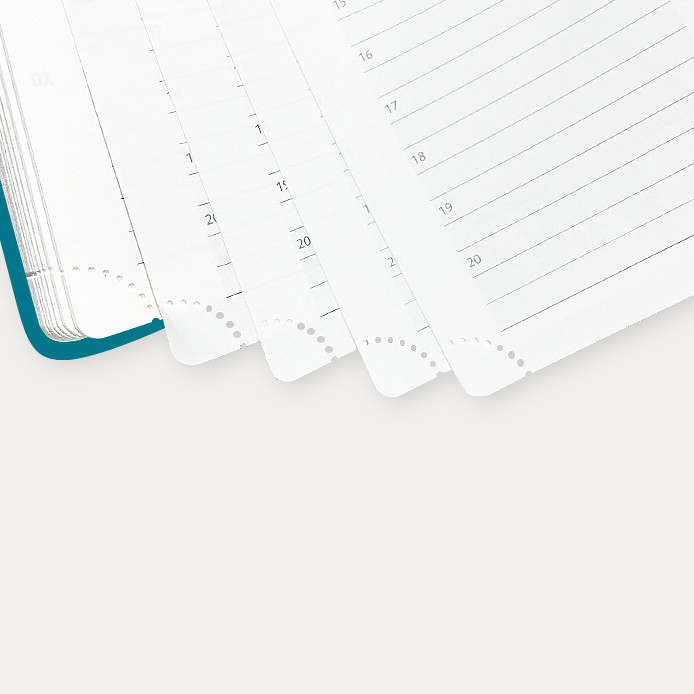 Pacific Green Medium Academic Planner Weekly Schedule Yearly Agenda Monthly Tabs