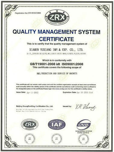 Good Performance Ferrite Ring Magnet Y30BH Y33 Standard For Cleaning Machines