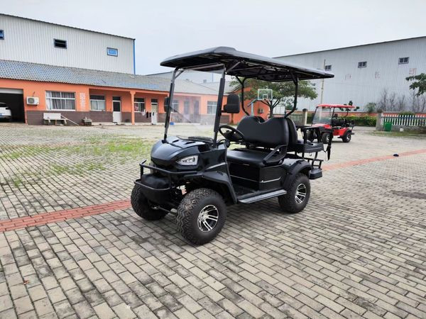 Customizable 4 Seater Golf Cart With 3.5-6 KW Motor And 50km Range