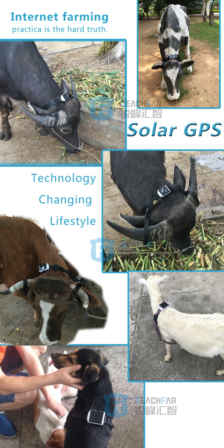 Waterproof anywhere container gps tracker with install free play store app solar tracker
