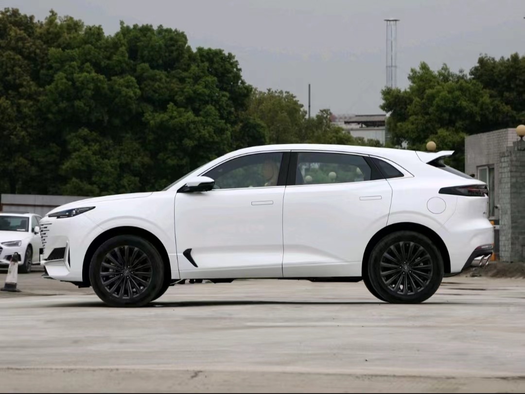 UNIK New Energy 2022 Blue Whale IDD 1.5T Zhuoyue Version Hybird Medium SUV