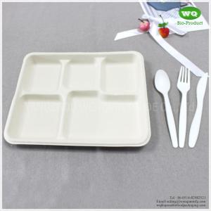China 100% Biodegradable Sugarcane Pulp 5 Compartments Tray-High quality Biodegradable food tray For birthday parties on sale