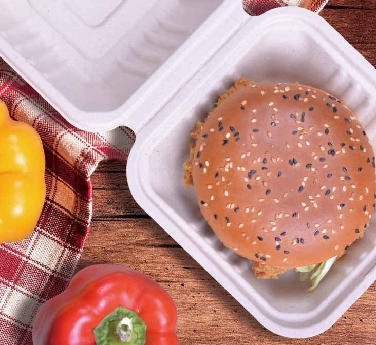 White Hinged Bagasse Takeaway Boxes 431x199x38mm