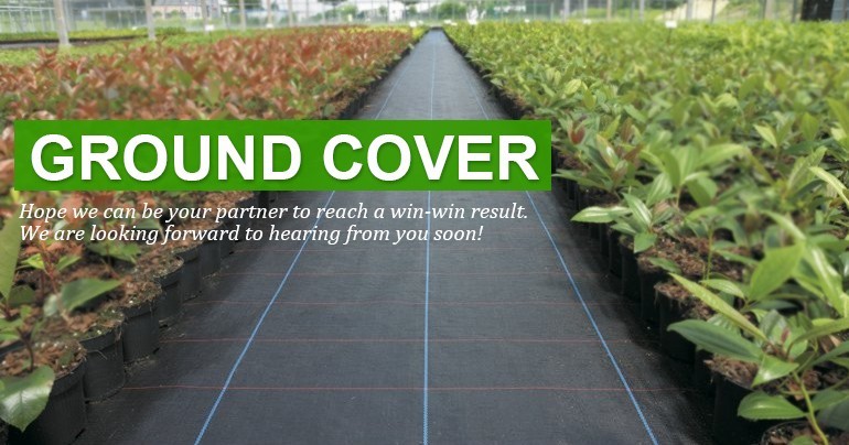 OEM Black Woven Polypropylene Ground Cover Length Customized Anti Corruption