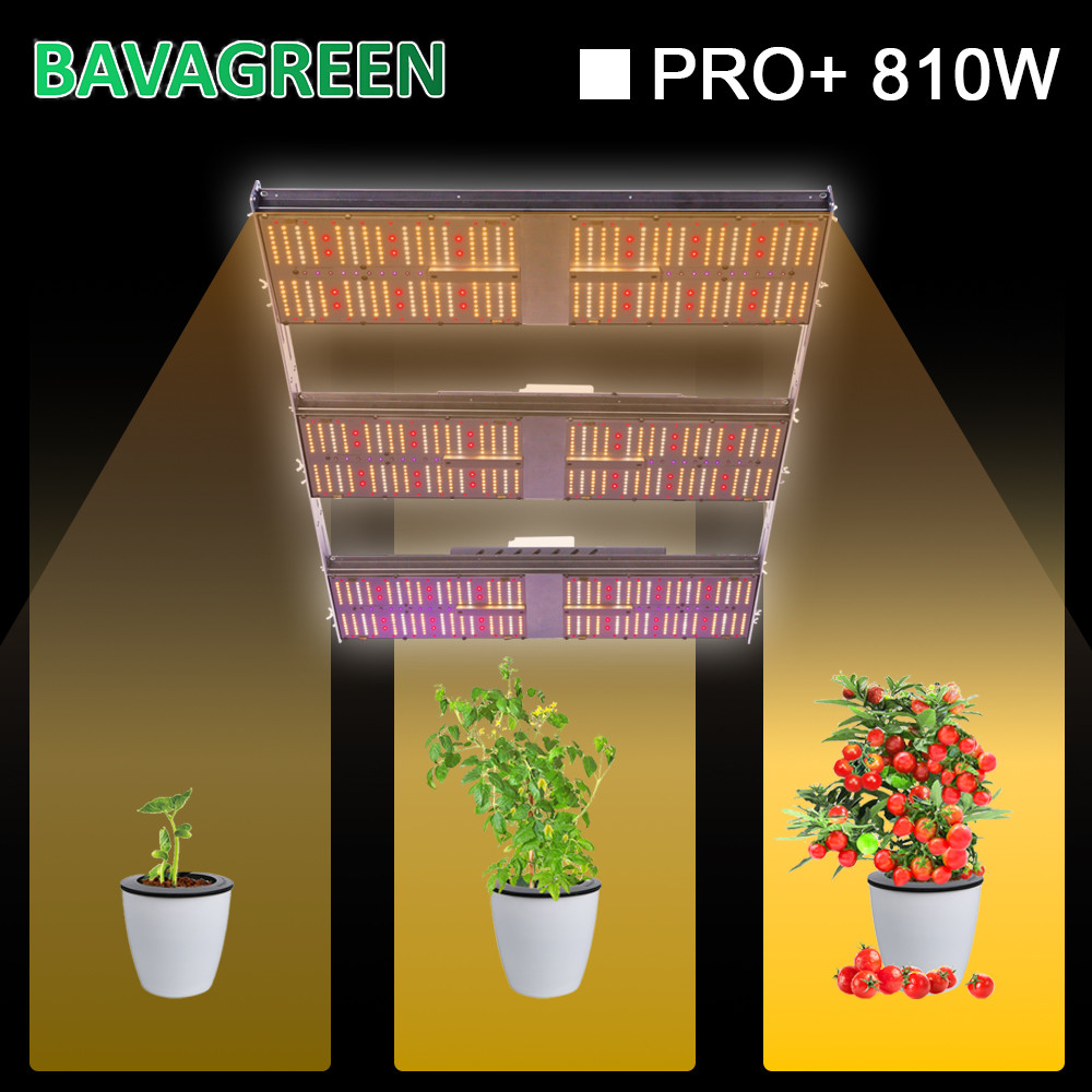Bavagreen LM301H LED Grow Light 5000K White 660nm 8100w With UV IR