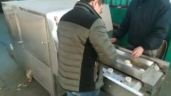 Double-Belt-Onion-Root-Cutting-Machine