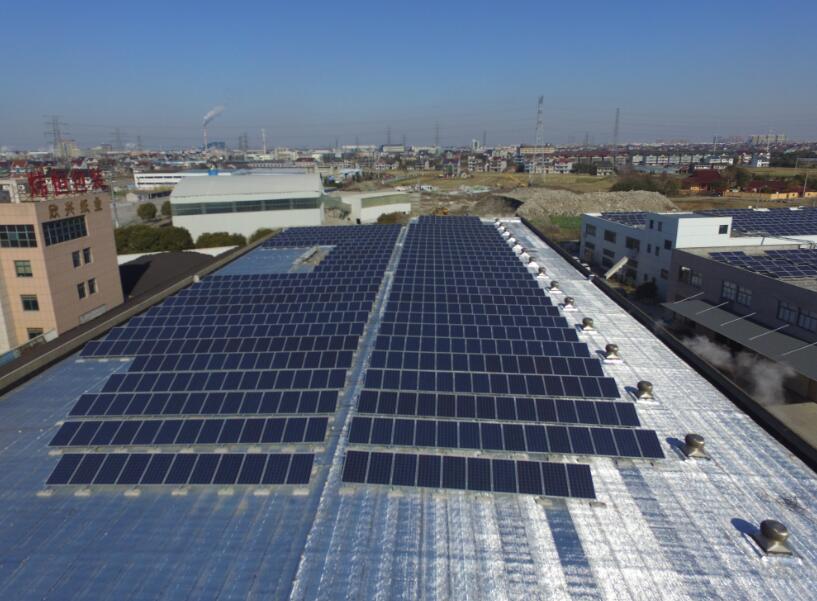 A Grade 290W 295W Polycrystalline PV Module For Commercial