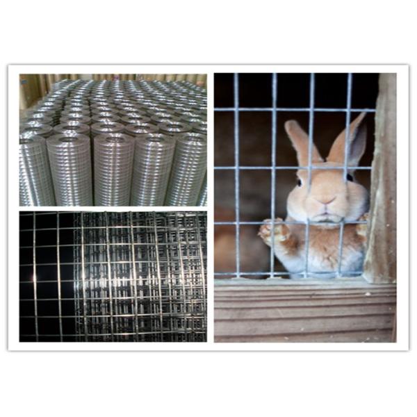 Protecting Mesh Galvanized Welded Mesh for Construction and Fencing Custom Sizes Guaranteed