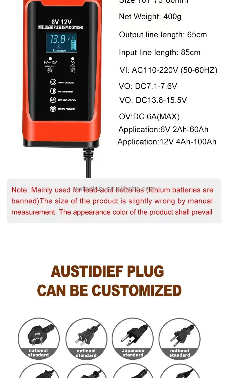 Private Mold Yes Universal 6V 12V Lead Acid Battery Charger AGM GEL LifePo4 Car 12 Volt Auto Adjustable Voltage 12V 200Ah