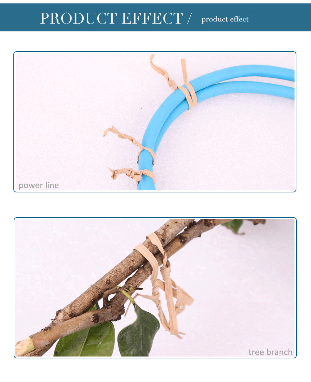 Swansoft 25mm High Efficient Elastic Twine Tying Tools Fruit Packaging Tie Machine Electric Tying Machine/Binder
