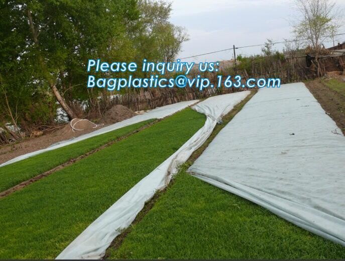 Anti UV sunshade agricultural nonwoven fabric, Agricultural pp spunbond nonwoven fabric /agriculture ground cover for pl