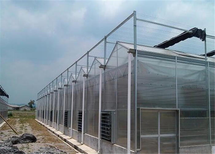 Sound Insulation Polycarbonate Sheets Greenhouse Anti Fog Surface Design Free Samples