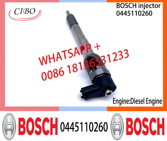 BOSCH injetor Common fuel Injector 0445110260 0445110309 0445110316 0445110322 0445110325 0445110326 for diesel engine