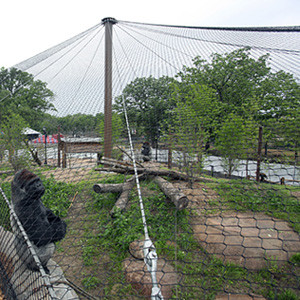 Stainless Steel Rope Mesh