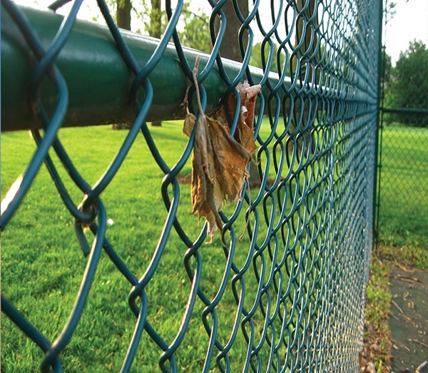 High Strength Green Wire Mesh Fence 50*100mm PVC Coated Iron Wire Material
