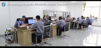 Shandong Depuda Electric Motor Co., Ltd.