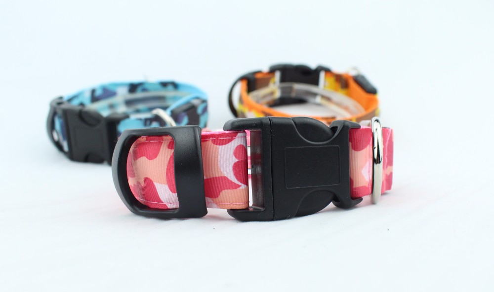 Flashing Light Up LED Dog Collar / OEM Illuminated Dog Collar Leash