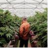 Buy cheap Greenhouse Blackout Curtain Systems Length 120ft 131ft 144ft from wholesalers