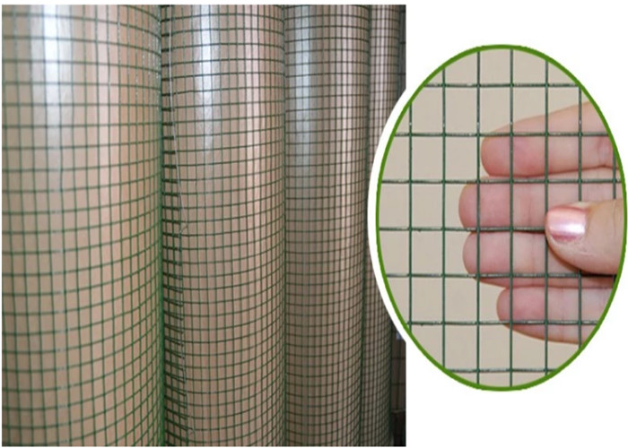 Lawn Edging BWG16 Electro Galvanized Wire Mesh Rolls