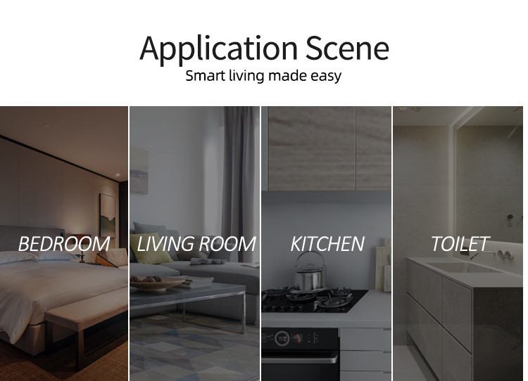 Tuya Wifi Smart Timer Switch Manufacturer Eu Standard 2 gang Led Sensor Light Voice Control Touch