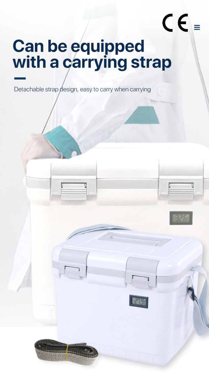 Medical Refrigerator For Vaccines Small Travel Cooler For Medication Cooler Boxes