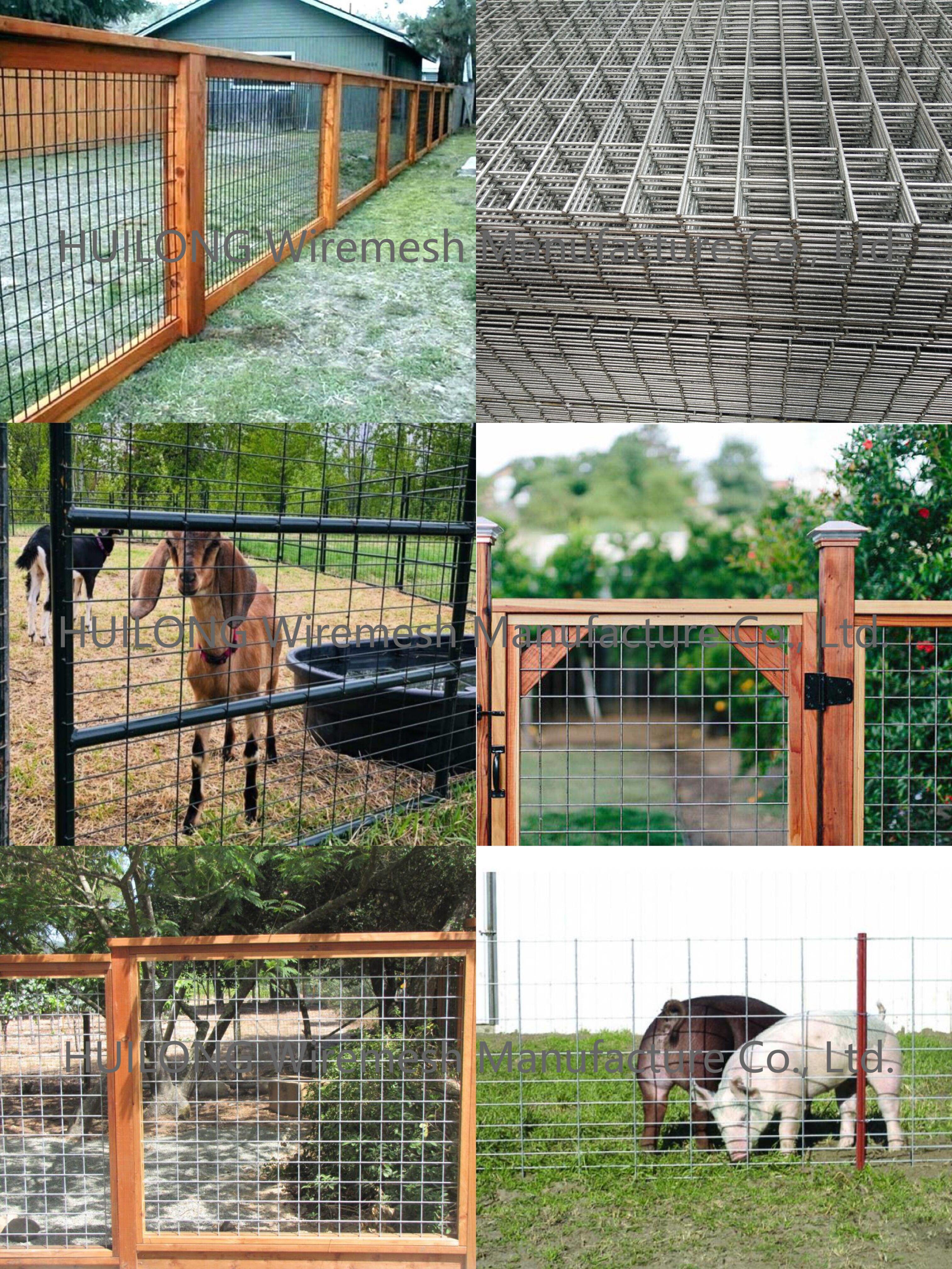 Livestock Farm 2x2inch Welded Wire Mesh Panels Galvanised Color ISO approval