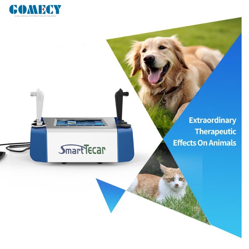 Portable High-Performance Radiofrequency Tecar Therapy for Horse Sports Injuries - Advanced Physiotherapy Treatment