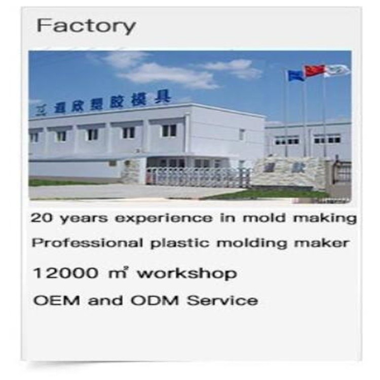 PP PC Steering Wheel Mold LKM HASCO Injection Molding Automotive Parts