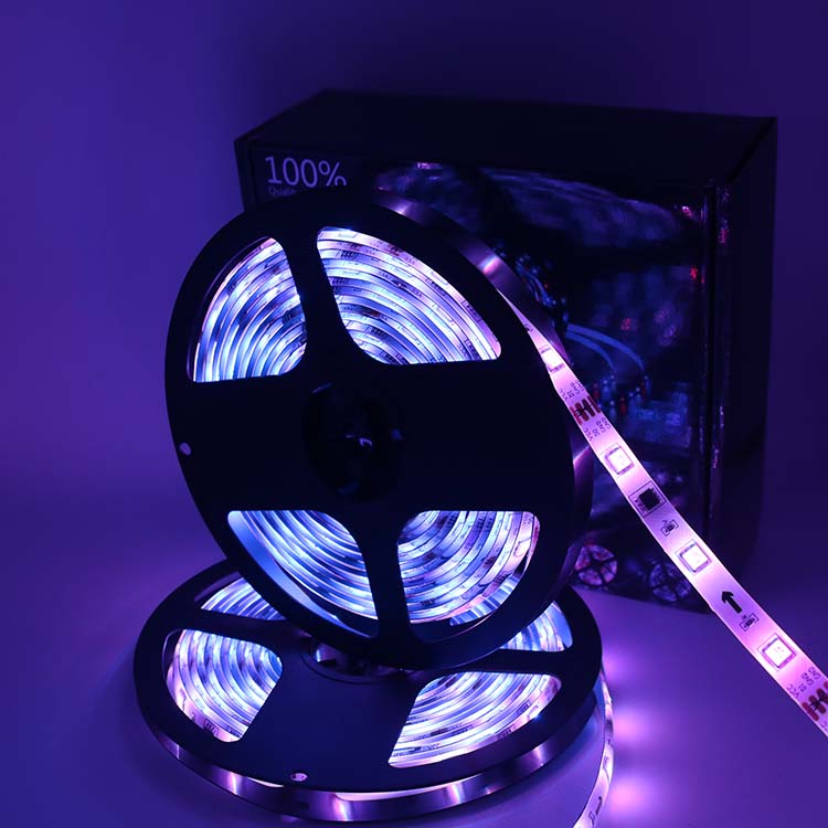 Ws2812 Dreamcolor LED Strip Lights Ajui Pasant Ws2812b 16X16