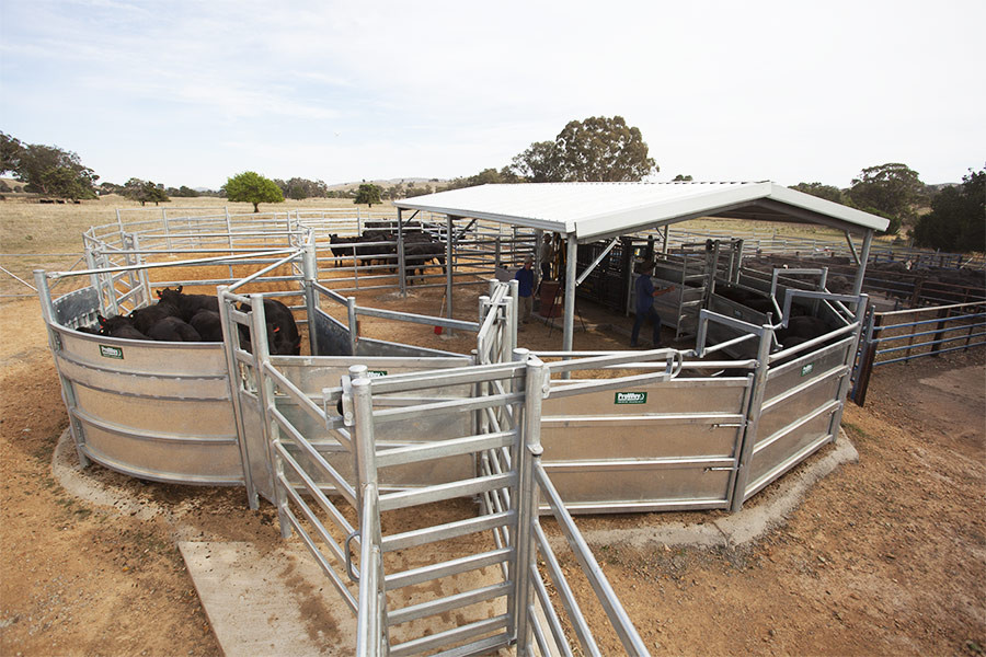 6 Bar Welded Utility Demountable 1.8m High Galvanized Cattle Panels