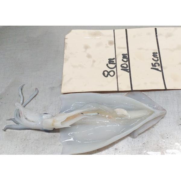 Brc Commerical Frozen Illex Squid Natural Color Health Certificate