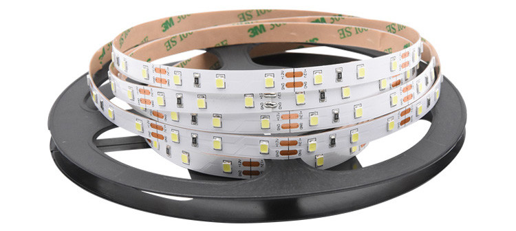 12V Flexible Single Color LED Strip Lights Dimmable 2835 8mm 10mm