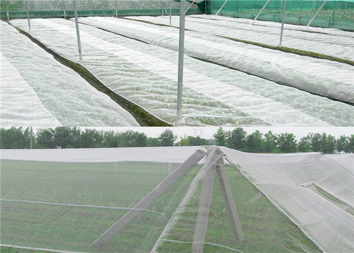 Water Resistance Outdoor Mosquito Netting , 1.3 * 1.3mm Small Shed Fly Insect Screen Mesh