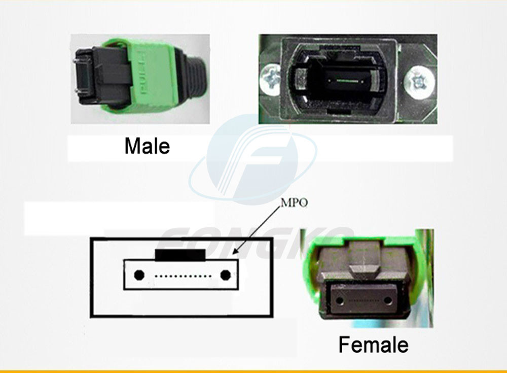 MTP MPO To SC UPC Fiber Optic Fanout Pigtail Patch Cord Single Mode 0.9mm