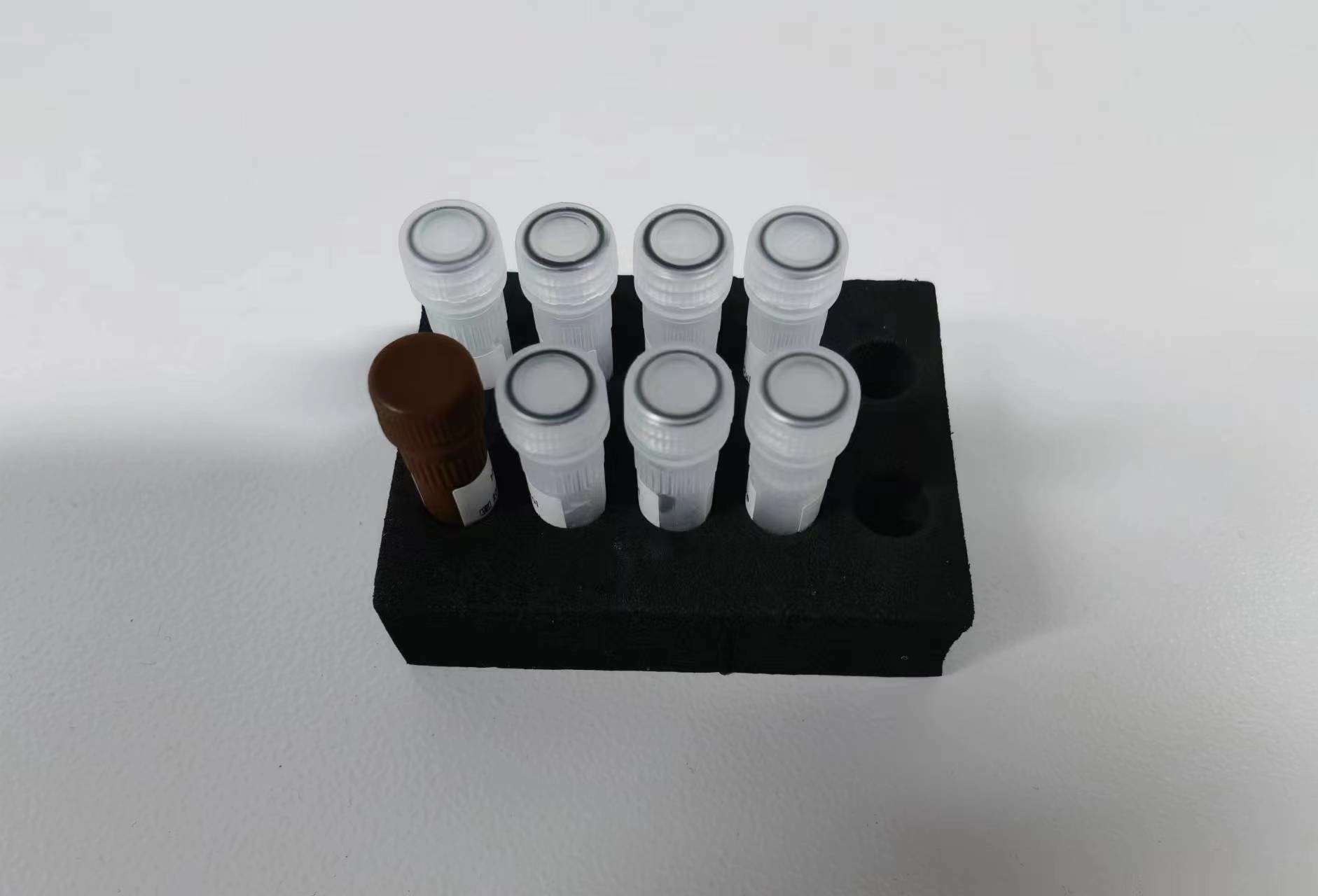 Hepatitis B Virus HBV quantitative PCR KIT Sensitivity Sample Type Test Kit With 96 Tests