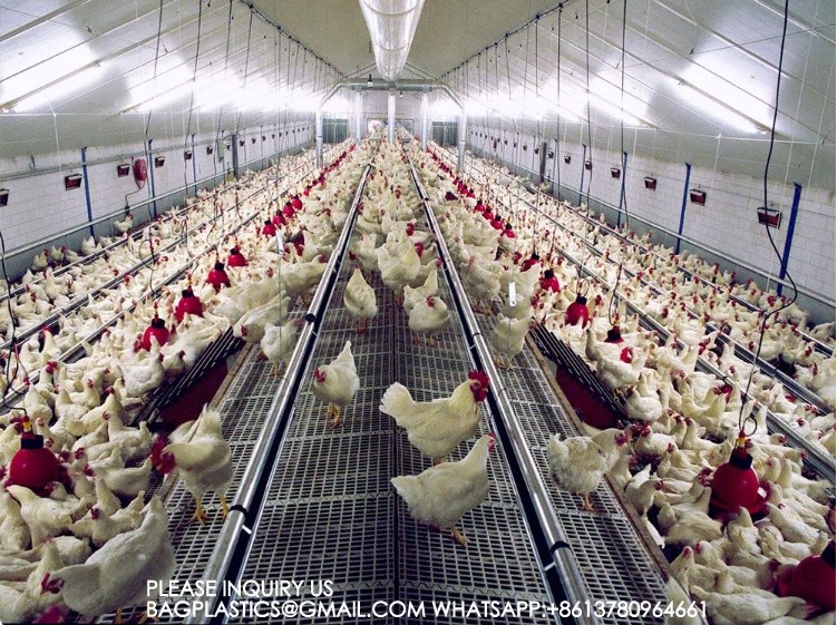 Agricultural Products Automatic Chicken Feeder Agricultural Greenhouses Animals Feeder