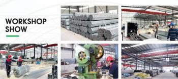Shandong Lisent Agricultural Technology Co., Ltd.