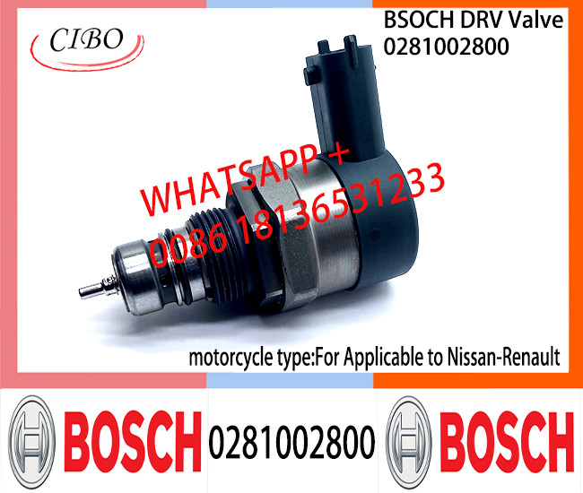 BOSCH DRV Valve 0281002800 Control Valve 0281002800 For Applicable to Nissan-REN-AULTt