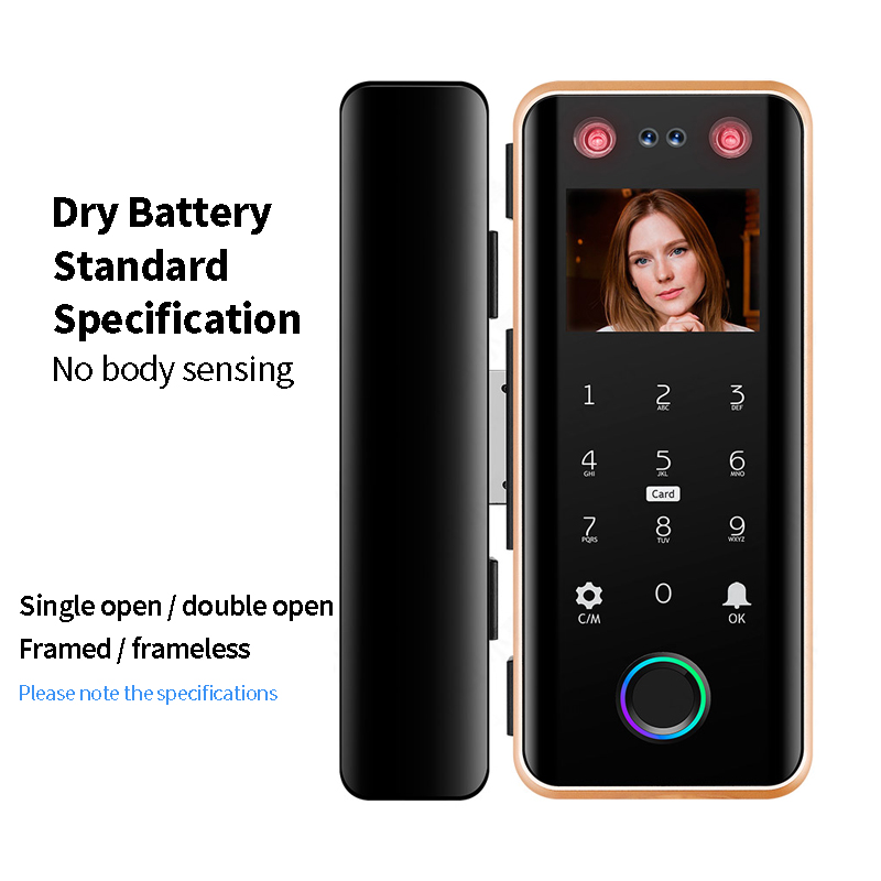 G5S Face Recognition Fingerprint Card Passcode Electronic Glass Door Lock for Office