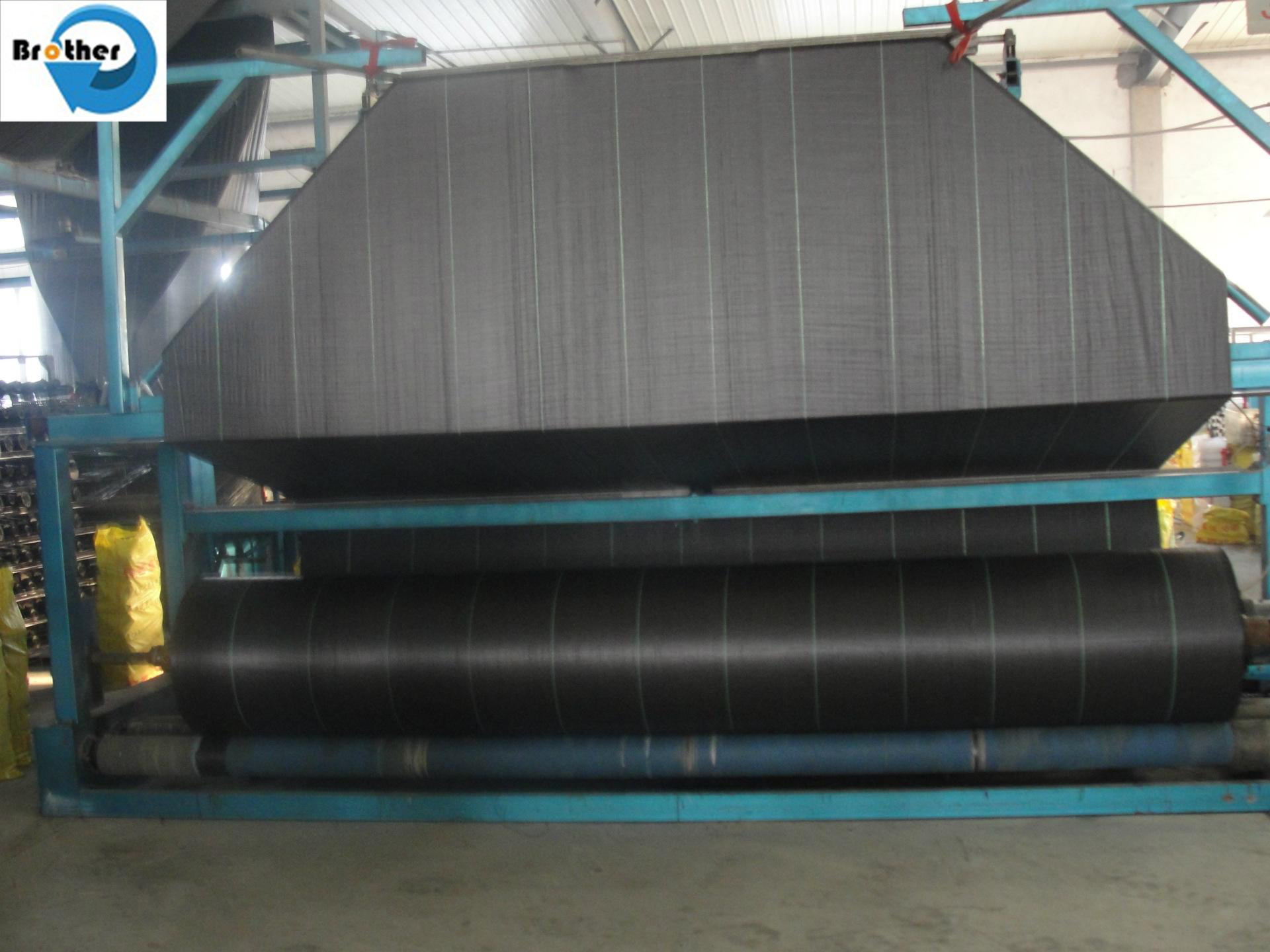 PP/PE Ground Cover Weed Control Barrier Mat, Woven Weed Cloth Weed Fabric New Material or Reycled Material, Geotextile