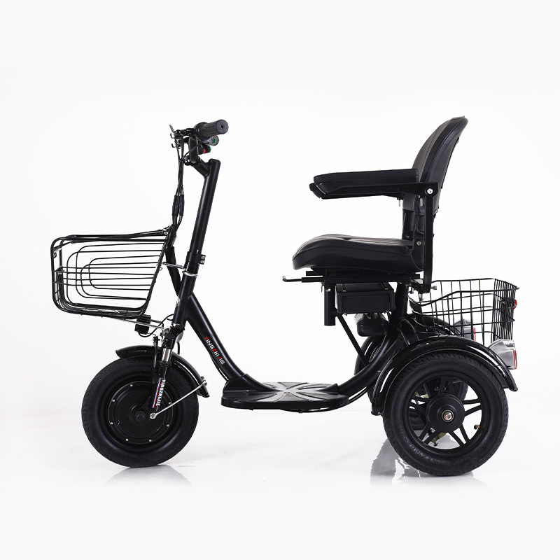 48V 300W Motor Power 12 Inch Electric Tricycle 3 Wheel Electric Bike for Adult Cargo